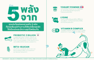 Yoguplus+ ผงวิตามินเพิ่มภูมิสัตว์เลี้ยงสุดนัว โรยวันละช้อน น้อนๆแข็งแรง - Image 6