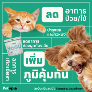 Yoguplus+ ผงวิตามินเพิ่มภูมิสัตว์เลี้ยงสุดนัว โรยวันละช้อน น้อนๆแข็งแรง - Image 2
