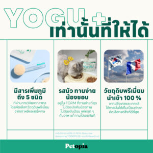 Yoguplus+ ผงวิตามินเพิ่มภูมิสัตว์เลี้ยงสุดนัว โรยวันละช้อน น้อนๆแข็งแรง - Image 4