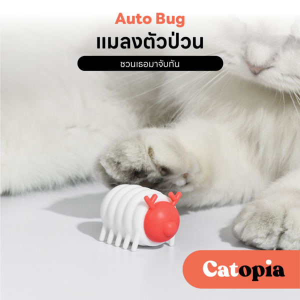 [🚚 พร้อมส่ง] ของเล่นแมวอัตโนมัติ แมลงอัตโนมัติ mewoofun แมลงออโต้ ของเล่นล่อแมว