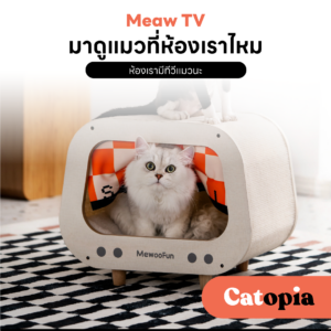 [🚚 พร้อมส่ง] mewoofun ทีวีแมว บ้านแมว มินิมอล กล่องแมว ดีไซน์เก๋ ตกแต่งบ้าน บุรอบ ๆ ด้วยลับเล็บแมว