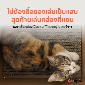 [🚚 พร้อมส่ง] Purrroom กล่องนมลับเล็บแมว ที่ลับเล็บแมว cat scratcher - Image 7