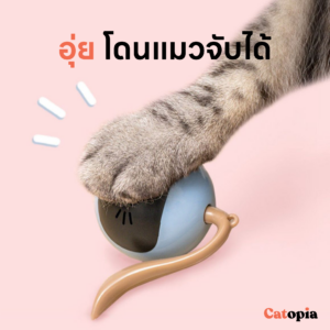 [🚚 พร้อมส่ง] fofso ลูกบอลนักกลิ้ง วิ่งเองออโต้ สีสันสดใส ของเล่นแมว แมววิ่ง บอลแมว บอลออโต้ วิ่งได้เอง - Image 2