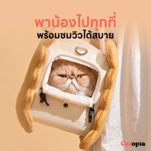 [🚚 พร้อมส่ง] PURLAB Cookies Pet กระเป๋าใส่แมวรูปขนมปัง กระเป๋าสัตว์ ลายขนม สไตล์ ญี่ปุ่น เกาหลี - Image 2