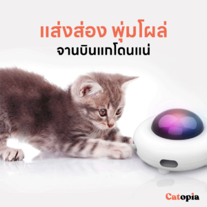 [🚚 พร้อมส่ง] UFO Bot จานบินแมวออโต้ ของเล่นอัตโนมัติ เพื่อนแมว ของเล่นแมว ขนไก่ ขนนกสุ่ม เล่นกับแมว - Image 4