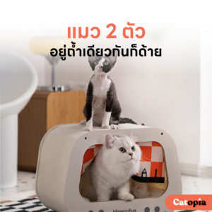 [🚚 พร้อมส่ง] mewoofun ทีวีแมว บ้านแมว มินิมอล กล่องแมว ดีไซน์เก๋ ตกแต่งบ้าน บุรอบ ๆ ด้วยลับเล็บแมว - Image 3