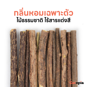[🚚 พร้อมส่ง] ไม้มาทาทาบิ ขัดฟันแมว มาทาบิ สำหรับแมว แคทนิปญี่ปุ่น ไม้แมวเมา ไม้ขัดฟัน ก้านมาทาทาบิ ไม้แปรงฟันแมว - Image 4