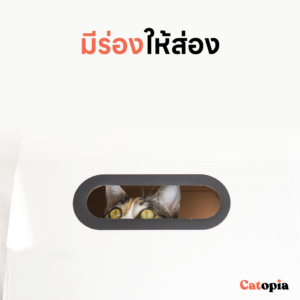 [🚚 พร้อมส่ง] Purrroom กล่องนมลับเล็บแมว ที่ลับเล็บแมว cat scratcher - Image 5