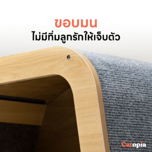 [🚚 พร้อมส่ง] mewoofun ทีวีแมว บ้านแมว มินิมอล กล่องแมว ดีไซน์เก๋ ตกแต่งบ้าน บุรอบ ๆ ด้วยลับเล็บแมว - Image 6