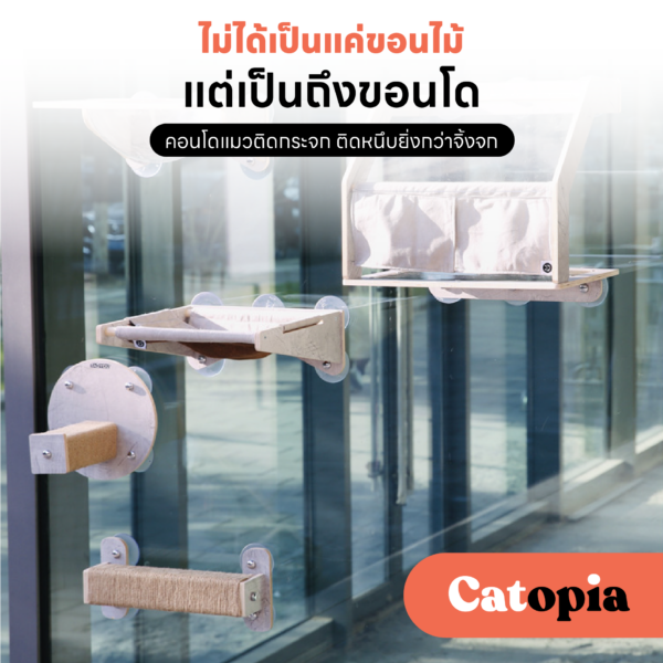Joycat คอนโดแมวติดกระจก ฝนเล็บแมว ลับเล็บแมว เตียงนอนแมว ของเล่นแมว ที่นอนแมว Selected By Catopia