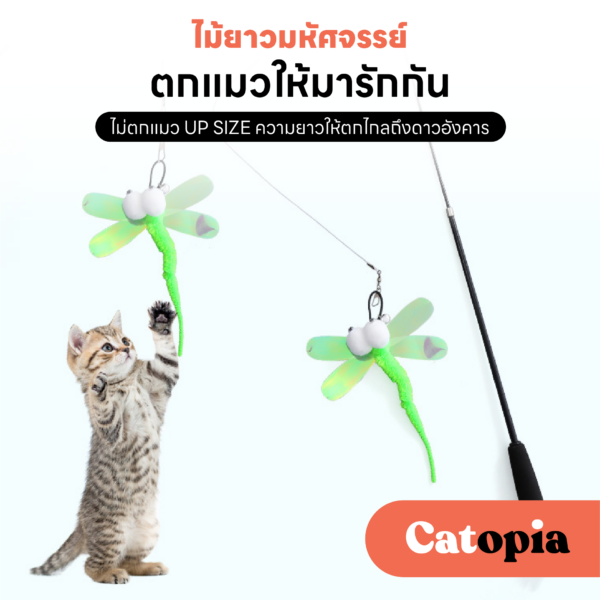 ไม้ตกแมว ไม่ตีหน้าแมว ก้านยาว 1 เมตร เหวี่ยงได้ไกล เหยื่อล่อแมว ของเล่นแมว Selected By Catopia