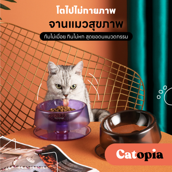 ชามอาหารแมวเพื่อสุขภาพ บำบัดคอแมว จานอัจฉริยะ เอียงได้มีถาดรองหก ใช้น้ำร้อนฆ่าเชื้อได้