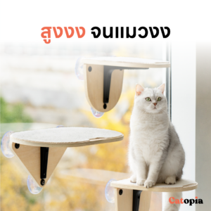 Mewoofun คอนโดแมว ติดกระจก สไตล์มินิมอล แข็งแรงไม่ตก แต่งห้องแมว ลับเล็บแมว Selected By Catopia - Image 12