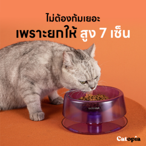 ชามอาหารแมวเพื่อสุขภาพ บำบัดคอแมว จานอัจฉริยะ เอียงได้มีถาดรองหก ใช้น้ำร้อนฆ่าเชื้อได้ - Image 12