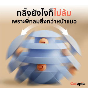 ของเล่นแมวอัตโนมัติ รางบอลแมว ฐานทรงกลม ล้มลุกได้เพื่อความฟินยิ่งกว่าของน้องแมว  Selected By Catopia - Image 5