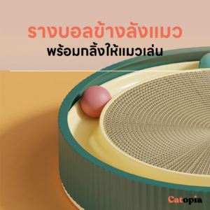 รางบอลแมวลับเล็บ พร้อมนอน นอนได้ มีบอลรอบ ๆ ให้น้องแมวไม่เบื่อ Selected By Catopia - Image 11