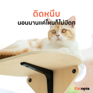 Mewoofun คอนโดแมว ติดกระจก สไตล์มินิมอล แข็งแรงไม่ตก แต่งห้องแมว ลับเล็บแมว Selected By Catopia - Image 11