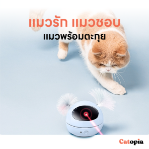 ของเล่นแมว หุ่นเลเซอร์อัตโนมัติ รุ่นใหม่ 2023 ชาร์ต USB แบตในตัว Laser Cat Toy Mpets Selected  By Catopia - Image 6