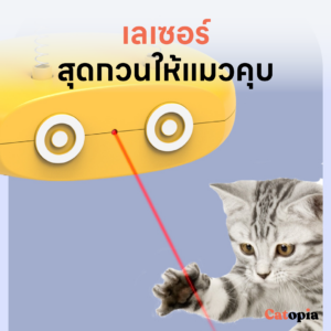 ของเล่นแมว หุ่นออโต้บอท 5 ฟังก์ชั่น ขวัญใจน้องแมว รุ่นชาร์ต USB แบตในตัว Cat Auto Bot Selected By Catopia - Image 12