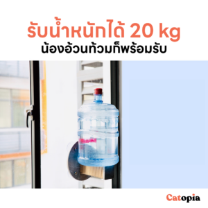 Joycat คอนโดแมวติดกระจก ฝนเล็บแมว ลับเล็บแมว เตียงนอนแมว ของเล่นแมว ที่นอนแมว Selected By Catopia - Image 3