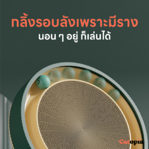รางบอลแมวลับเล็บ พร้อมนอน นอนได้ มีบอลรอบ ๆ ให้น้องแมวไม่เบื่อ Selected By Catopia - Image 9