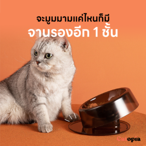 ชามอาหารแมวเพื่อสุขภาพ บำบัดคอแมว จานอัจฉริยะ เอียงได้มีถาดรองหก ใช้น้ำร้อนฆ่าเชื้อได้ - Image 9