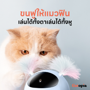 ของเล่นแมว หุ่นเลเซอร์อัตโนมัติ รุ่นใหม่ 2023 ชาร์ต USB แบตในตัว Laser Cat Toy Mpets Selected  By Catopia - Image 4