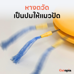 ของเล่นแมว หุ่นออโต้บอท 5 ฟังก์ชั่น ขวัญใจน้องแมว รุ่นชาร์ต USB แบตในตัว Cat Auto Bot Selected By Catopia - Image 10