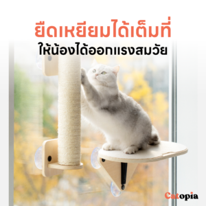 Mewoofun คอนโดแมว ติดกระจก สไตล์มินิมอล แข็งแรงไม่ตก แต่งห้องแมว ลับเล็บแมว Selected By Catopia - Image 8