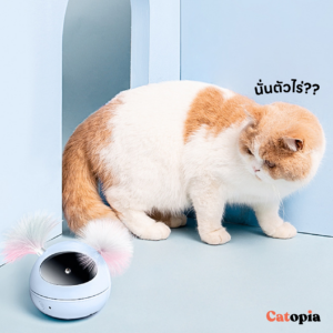 ของเล่นแมว หุ่นเลเซอร์อัตโนมัติ รุ่นใหม่ 2023 ชาร์ต USB แบตในตัว Laser Cat Toy Mpets Selected  By Catopia - Image 3