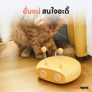 ของเล่นแมว หุ่นออโต้บอท 5 ฟังก์ชั่น ขวัญใจน้องแมว รุ่นชาร์ต USB แบตในตัว Cat Auto Bot Selected By Catopia - Image 7