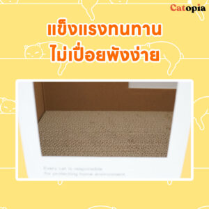 กล่องนอนแมว ลังแมว Express Box Purroom สร้างพื้นที่ปลอดภัย ลดพฤติกรรมลับเล็บกับโซฟา - Image 6