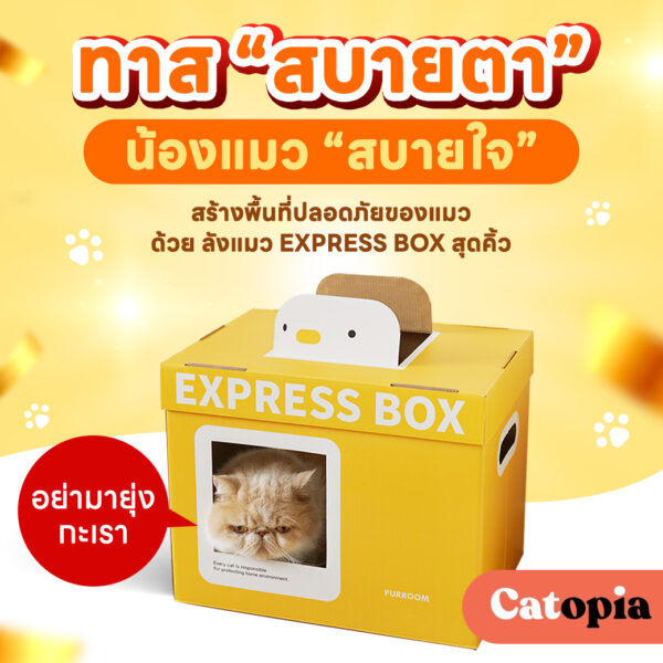 กล่องนอนแมว ลังแมว Express Box Purroom สร้างพื้นที่ปลอดภัย ลดพฤติกรรมลับเล็บกับโซฟา