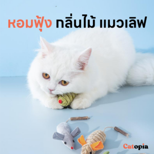 ตุ๊กตาหนูมาทาทาบิ สอดไส้หญ้าแมว ของเล่นแมว ไม้ขัดฟัน ตุ๊กตาหนู ล่อแมว แมวขบ Catnip Selected Catopia - Image 6