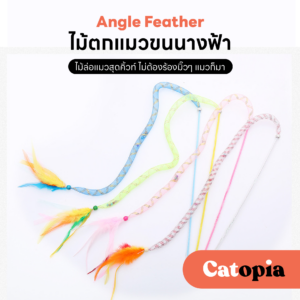 ไม้ตกแมวขนนางฟ้า ของเล่นแมว ไม้ล่อแมว ขนนก กระดิ่งสั่น ขนไก่ ไม้เรียกแมว Selected By Catopia