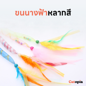 ไม้ตกแมวขนนางฟ้า ของเล่นแมว ไม้ล่อแมว ขนนก กระดิ่งสั่น ขนไก่ ไม้เรียกแมว Selected By Catopia - Image 6