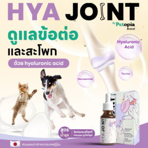 Hya Joint บำรุงกระดูกและข้อต่อสัตว์เลี้ยง เพื่ออิสระภาพในการเคลื่อนไหว ด้วยพลังแห่ง Hyaluronic Acid